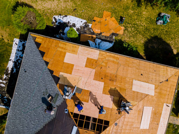 Best Storm Damage Roof Repair  in Olmos Park, TX